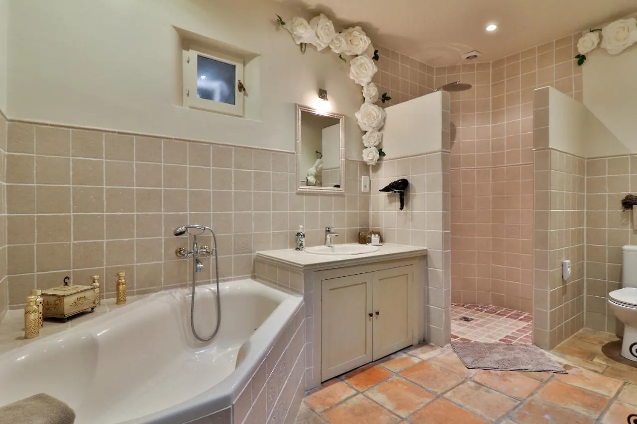 Gite Des Carmes And Spa Le Thor 3*,  France